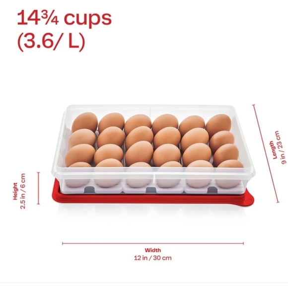 Tupperware  Large Snack Stor with egg inserts New - Picture 3 of 5